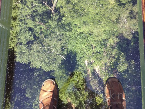 jockimo glassfloor wahooextreme feet