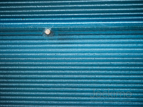 Jockimo Greenwood 0943 web